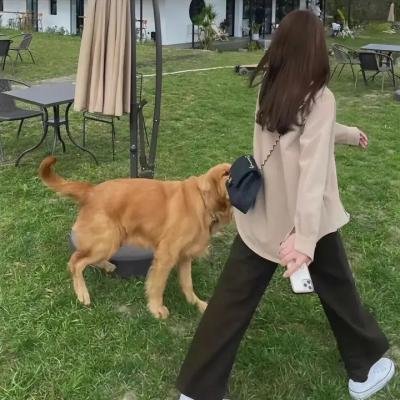 女神捕之绝境